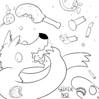 SEEKER PLS