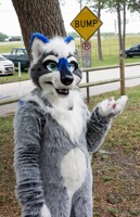 Theres our Cynder :)