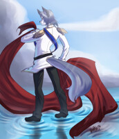 long cape is long