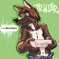 Triller HEARTS Brownies