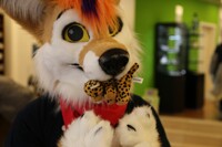 carrying a plushie cheeta