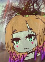 transparent