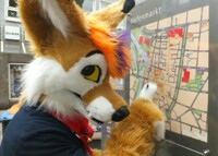 map...?