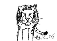 AC 2006 Tiger