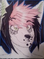 Art Trade: Axel ~for bm-13~ 