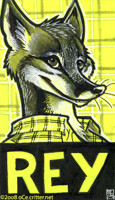 reyfox dayglow badge