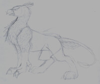 Griffen Scribble