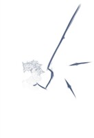 sketch