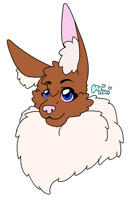 Mimi Head shot