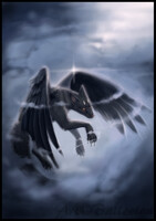 Soar