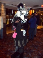 Midwest Furfest 2013 Day 1: An Adorable Feline!