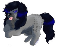 bowWOW
