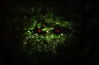 Animal I have become