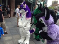 Fullsuit