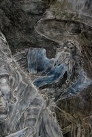 Raven on the shoulder