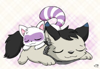 Raccoon and Wolf sleeping 