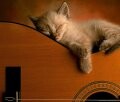 Sleepy Hollow Rag - Silent Movie Music