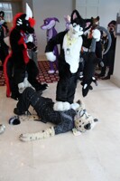 Confuzzled 2014: Trax to the rescue