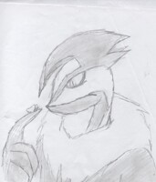 whats the point of life?