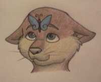 chibi headshot for suricatus