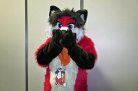 CAPTION THIS!! Uh oh Foxy Os'