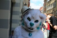 Katze mit Hut! ^^ / Cat with hat! ^^ ( 1 / 2 )
