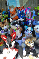 AZ Group Shot