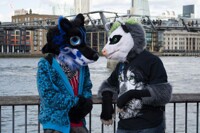 A Folf and A Possum