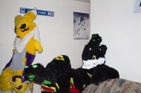Renamon and Jig_1