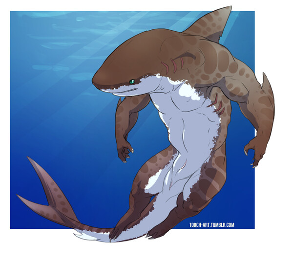 a giant shark in sea by Michael95 -- Fur Affinity [dot] net