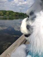 Spontaneous Park Romp [6]