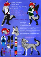 Ritsu Kira Ref Sheet [Final]