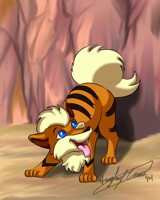 #58 Growlithe