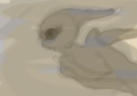 Running through the muddy water