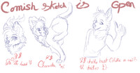 Sketch comish info