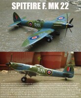 The Pinacle Of The Evolution