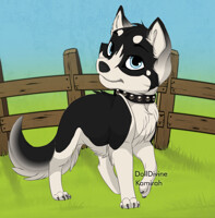 New character Jayden the Husky
