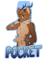 Pocket