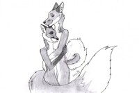 Couple husky and fox