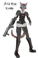 soldier Cat