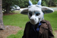 Glow Paws June Meet 2014: Smile Pretty Doctor