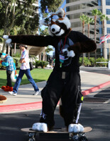 Red Panda Board Riding