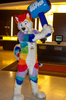 MFF 2013 - Tigerclawswiss