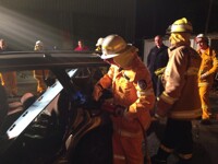 Car Cutting Training