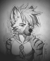 Traditional - PiercingNightfall