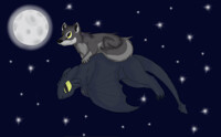to the moon 