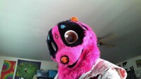 Slow Loris Refurb WIP
