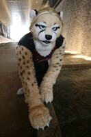 Rhea 2008 - Anthrocon 2