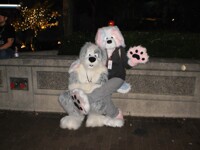 Rocky and another sheep dog