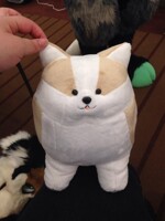 Corgi Petato